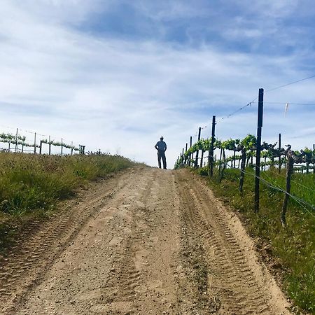 مبيت وإفطار تيميكولا، ريفيرسيدي، كاليفورنيا Domaine Chardonnay المظهر الخارجي الصورة