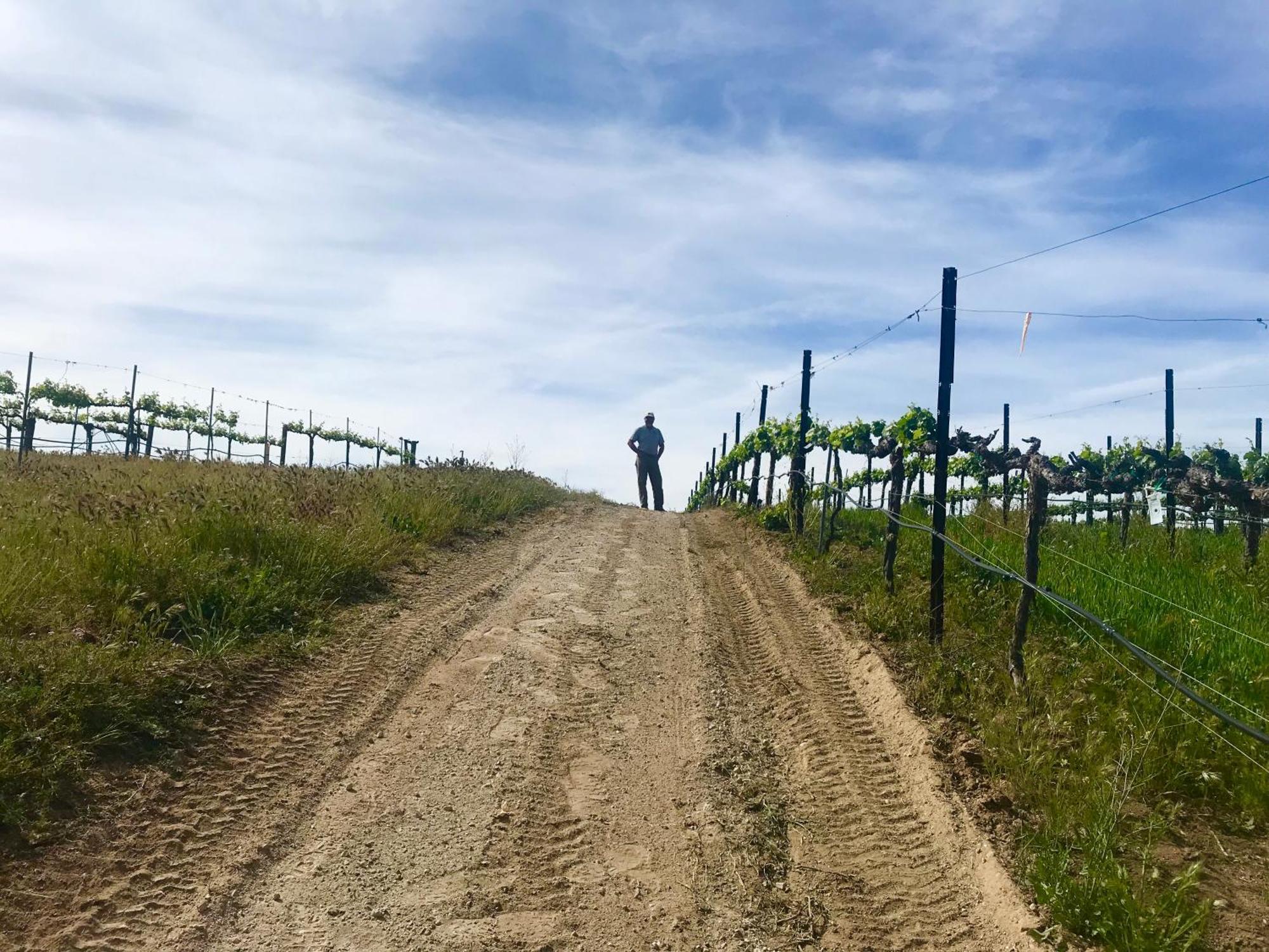 مبيت وإفطار تيميكولا، ريفيرسيدي، كاليفورنيا Domaine Chardonnay المظهر الخارجي الصورة
