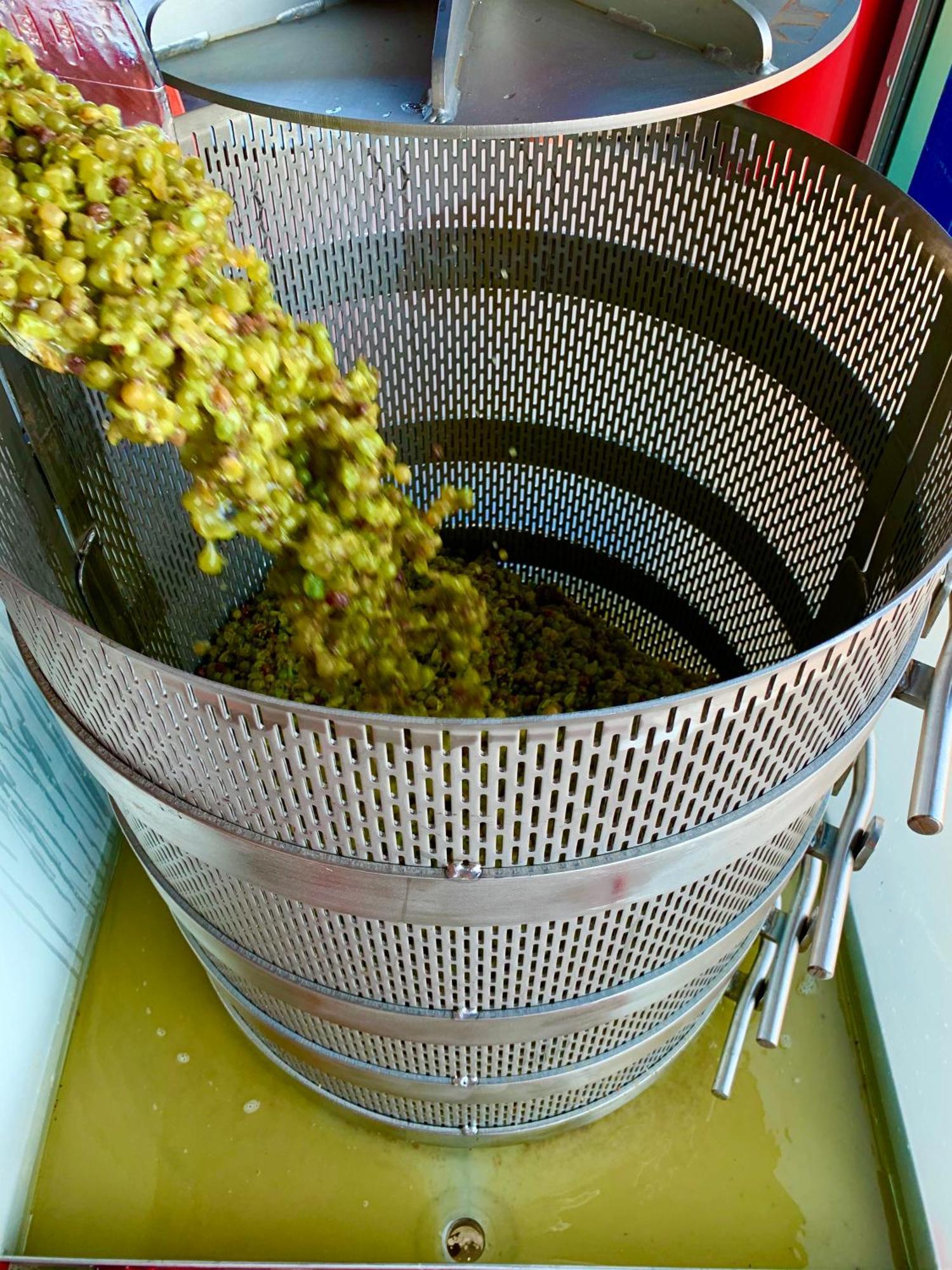 مبيت وإفطار تيميكولا، ريفيرسيدي، كاليفورنيا Domaine Chardonnay المظهر الخارجي الصورة
