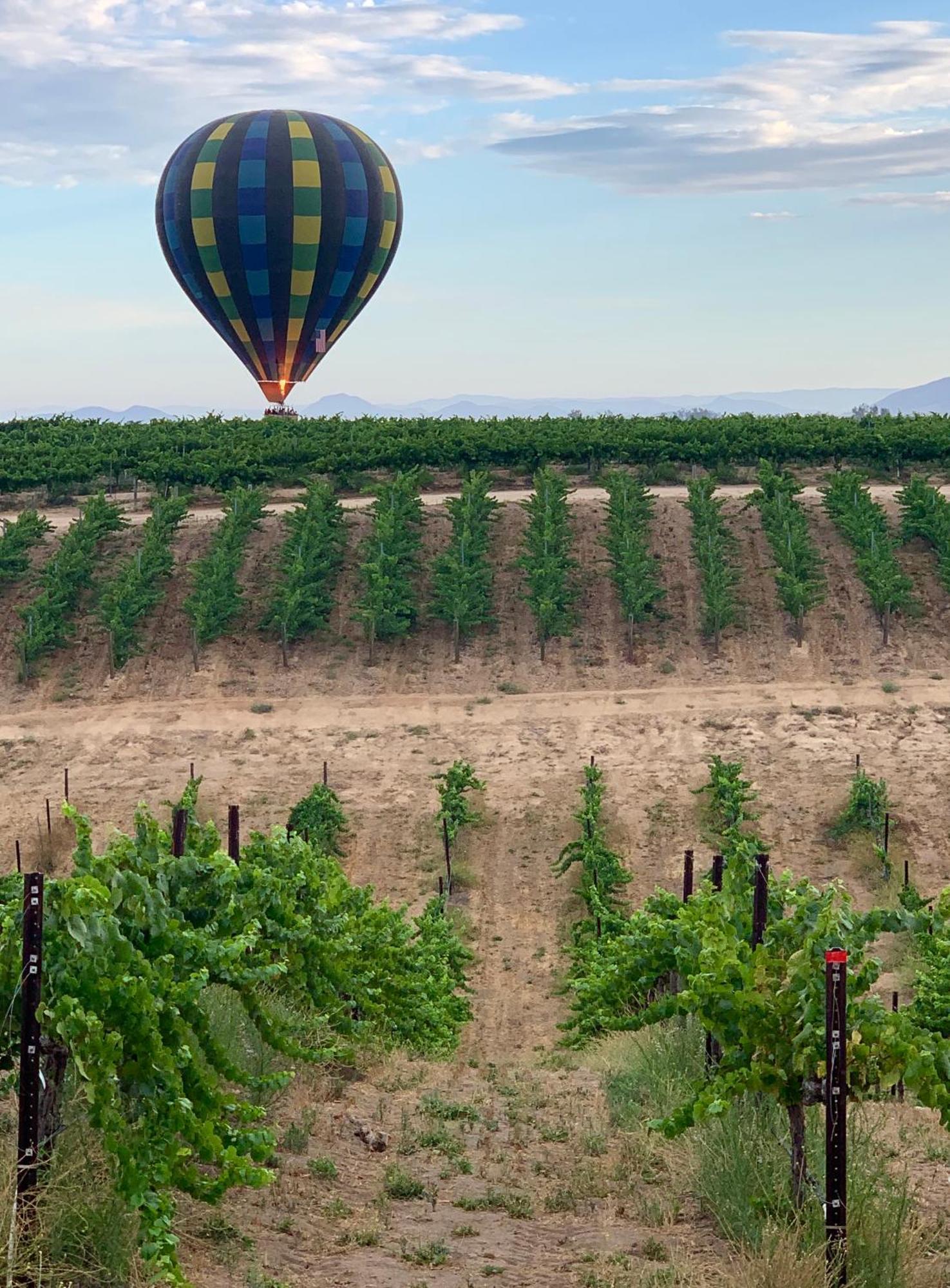 مبيت وإفطار تيميكولا، ريفيرسيدي، كاليفورنيا Domaine Chardonnay المظهر الخارجي الصورة