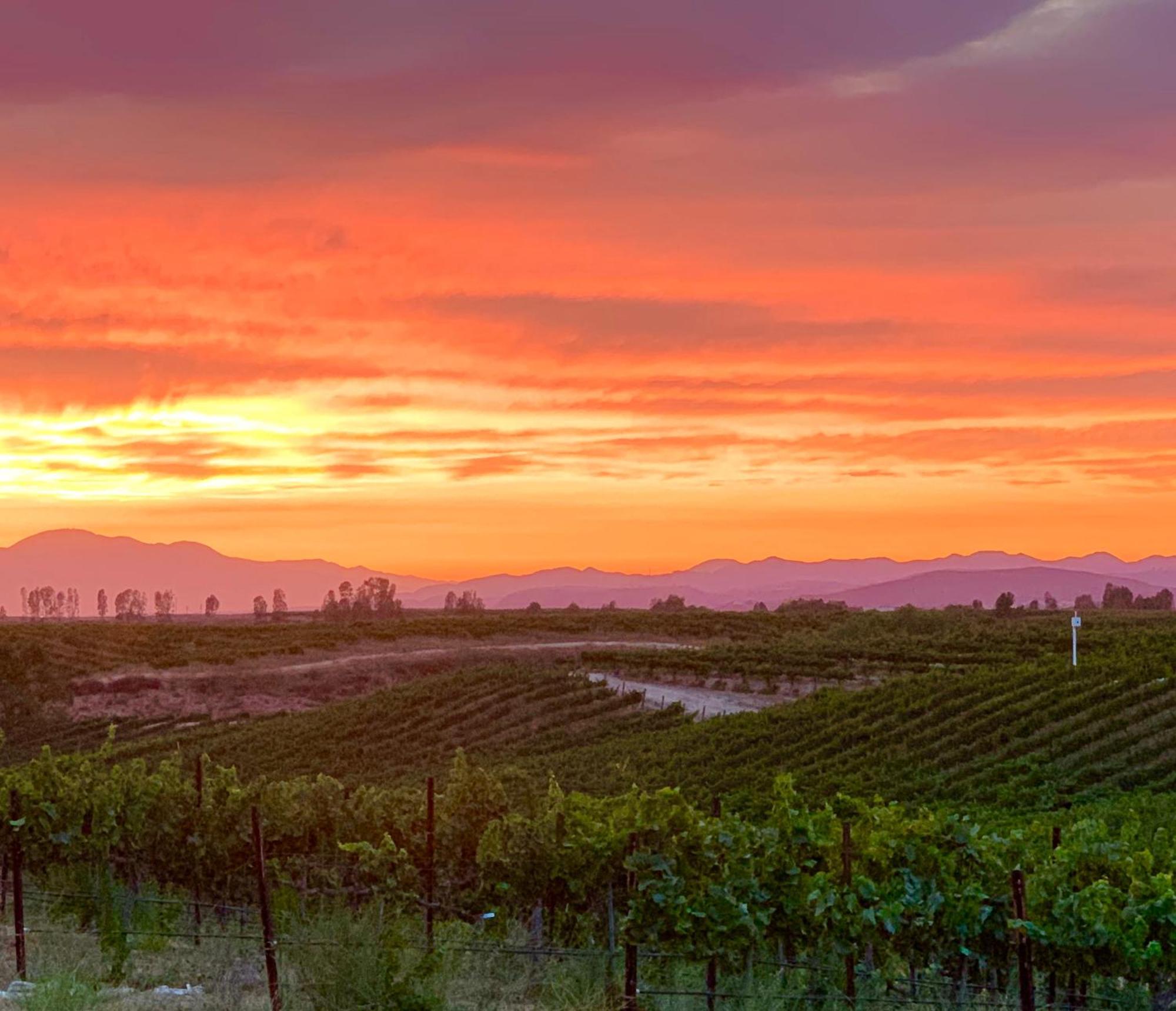 مبيت وإفطار تيميكولا، ريفيرسيدي، كاليفورنيا Domaine Chardonnay المظهر الخارجي الصورة