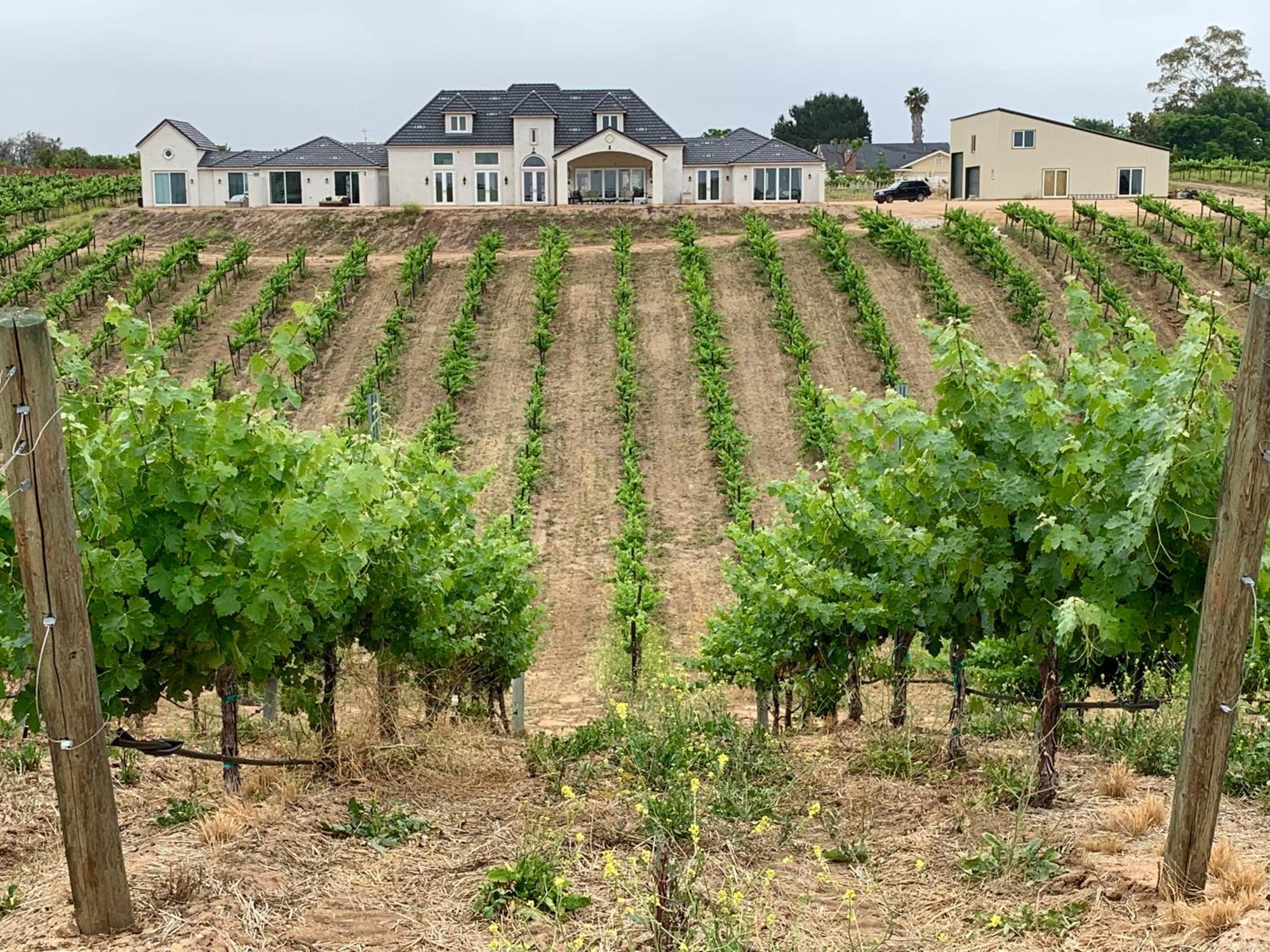 مبيت وإفطار تيميكولا، ريفيرسيدي، كاليفورنيا Domaine Chardonnay المظهر الخارجي الصورة