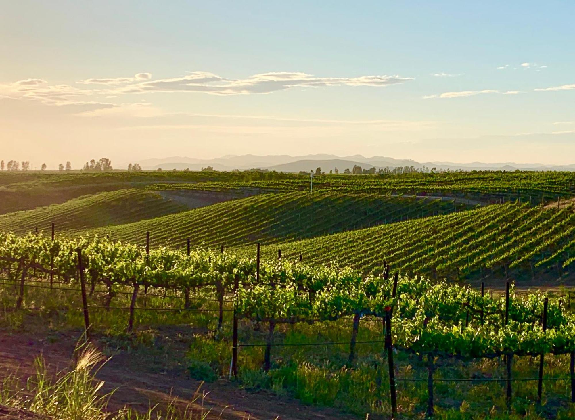 مبيت وإفطار تيميكولا، ريفيرسيدي، كاليفورنيا Domaine Chardonnay المظهر الخارجي الصورة